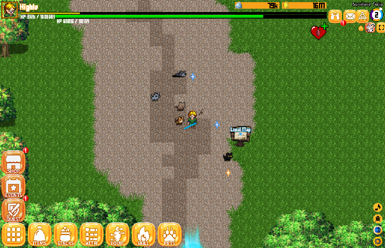 Top-Down MMORPG